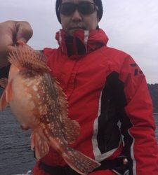 シーモンキー 釣果