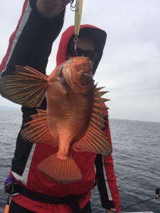 シーモンキー 釣果