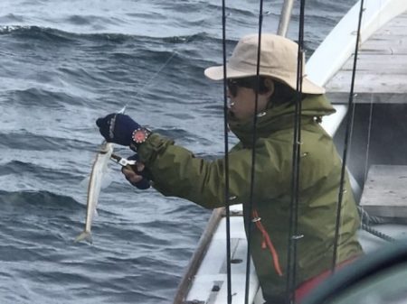 たいし丸 釣果