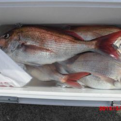 大進丸(新潟) 釣果