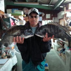 ふじや釣舟店 釣果