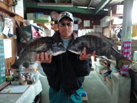 ふじや釣舟店 釣果