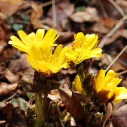 小菅トラウトガーデン 釣果