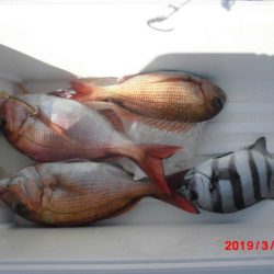 大進丸(新潟) 釣果