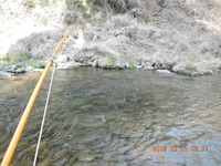 秩父フライフィールド 釣果