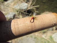 秩父フライフィールド 釣果