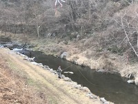 秩父フライフィールド 釣果