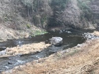 秩父フライフィールド 釣果