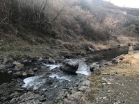 秩父フライフィールド 釣果