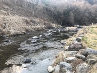 秩父フライフィールド 釣果