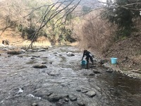 秩父フライフィールド 釣果