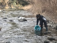 秩父フライフィールド 釣果