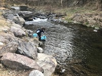 秩父フライフィールド 釣果