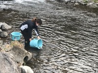 秩父フライフィールド 釣果