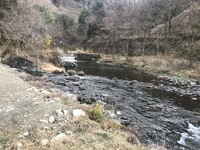 秩父フライフィールド 釣果