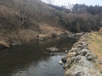 秩父フライフィールド 釣果