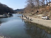 秩父フライフィールド 釣果