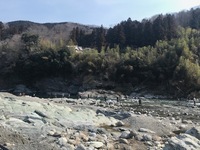 秩父フライフィールド 釣果