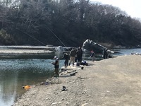 秩父フライフィールド 釣果