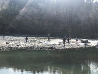 秩父フライフィールド 釣果