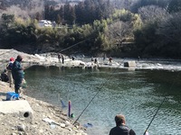 秩父フライフィールド 釣果