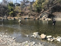 秩父フライフィールド 釣果