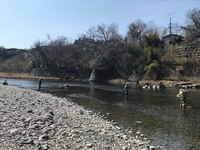 秩父フライフィールド 釣果