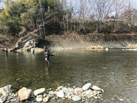 秩父フライフィールド 釣果