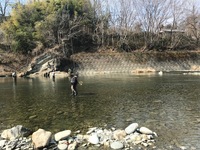 秩父フライフィールド 釣果