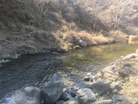 秩父フライフィールド 釣果