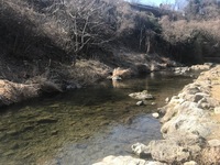 秩父フライフィールド 釣果