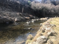 秩父フライフィールド 釣果