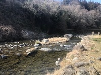 秩父フライフィールド 釣果