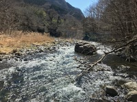 秩父フライフィールド 釣果