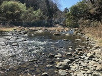 秩父フライフィールド 釣果