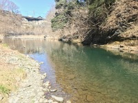 秩父フライフィールド 釣果