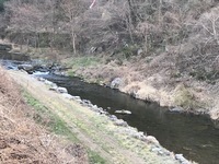 秩父フライフィールド 釣果