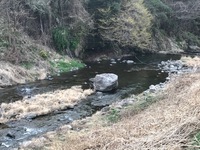 秩父フライフィールド 釣果