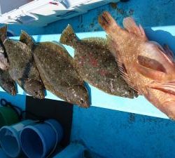 はじめ丸 釣果