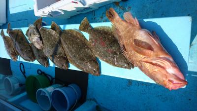はじめ丸 釣果