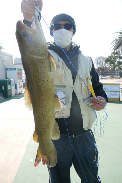 としまえんフィッシングエリア 釣果
