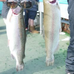 としまえんフィッシングエリア 釣果