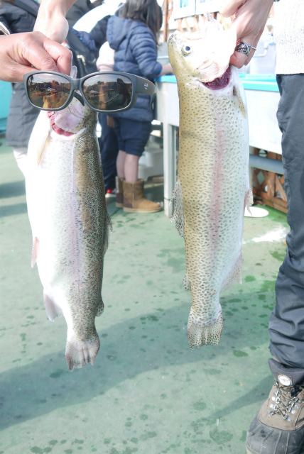 としまえんフィッシングエリア 釣果