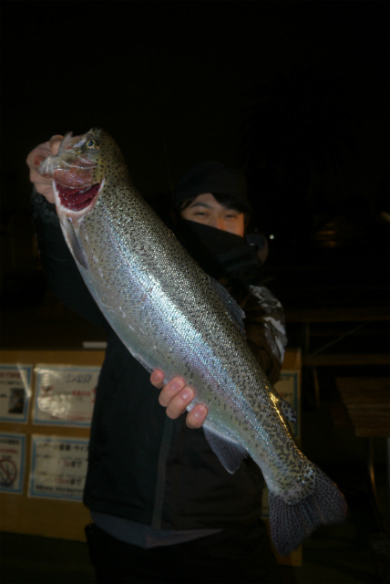 としまえんフィッシングエリア 釣果