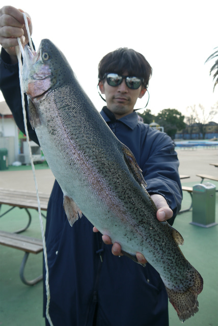 としまえんフィッシングエリア 釣果