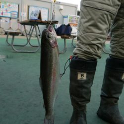 としまえんフィッシングエリア 釣果