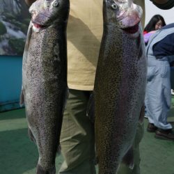 としまえんフィッシングエリア 釣果