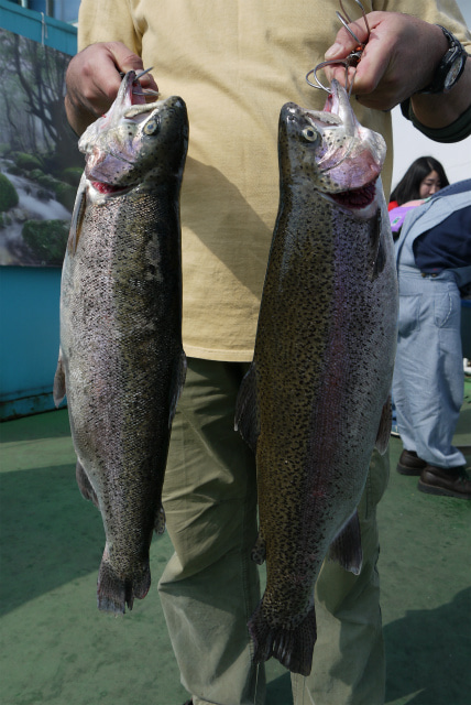 としまえんフィッシングエリア 釣果
