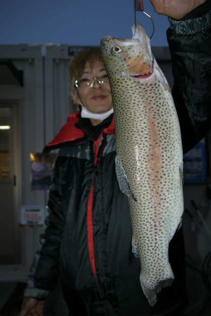 としまえんフィッシングエリア 釣果