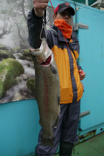 としまえんフィッシングエリア 釣果